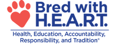 BWH_Logo_withText2-300x131-1 1