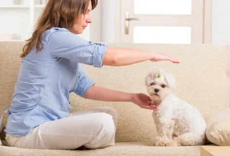 Lifetime Care and Ongoing Breeder Support